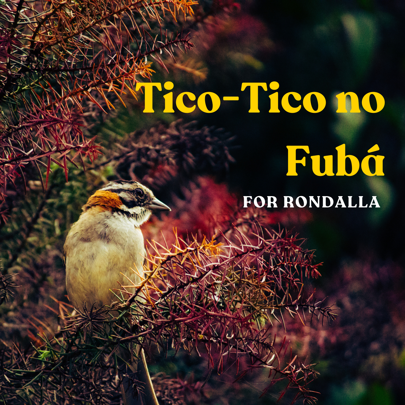 Tico-Tico no Fubá - Rondalla Sheet Music by Musicondalla